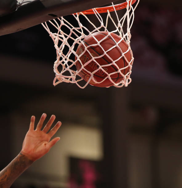 数据也证明 数据也证明